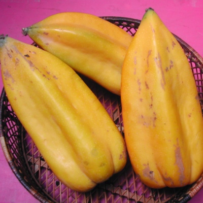 Babaco (Champagne Fruit) 