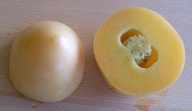 Pepino dulce - Solanum muricatum